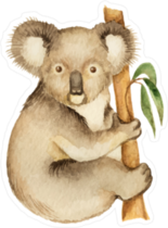 Watercolor Koala Sticker