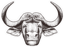 Wide Buffalo Sticker