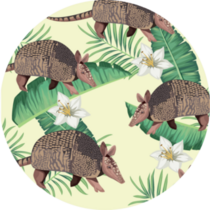 Wild Armadillos With Tropical Foliage Illustration Sticker